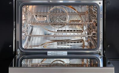 30" Wolf E Series Transitional Convection Steam Oven - CSO30TE/S/TH