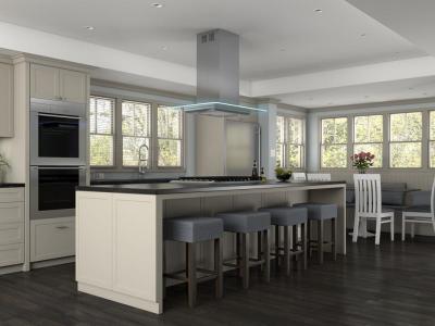 42" Zephyr Core Series Verona Island Mount Hood Stainless Steel With Glass Canopy- ZVNE42AG