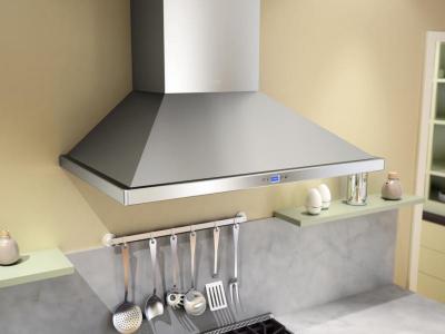 42" Zephyr Core Series Venezia Wall Mount Hood - ZVEE42CS