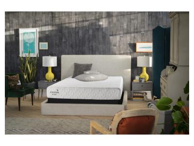 Sealy Cocoon 8 Inch Queen Size Mattress - Cocoon 8" BED IN A BOX (Queen)