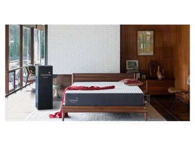 Sealy Cocoon 10 Inch Queen Size Mattress - Cocoon 10" BED IN A BOX (Queen)