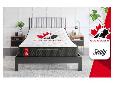 Sealy Queen Size Hockey Bed - Hockey Canada Bed (Queen)