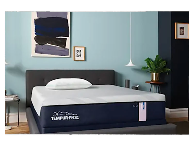 Tempur shop king size