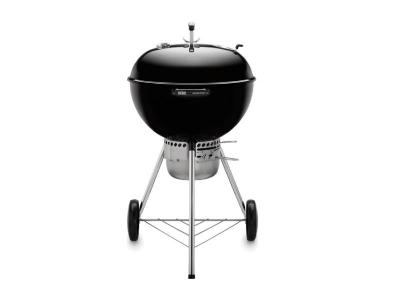 Wolf 54 Outdoor Gas Grill (OG54)