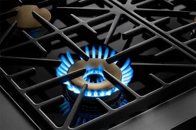 30" Dacor Professional Series Natural Gas Pro Range - HGPR30C/NG