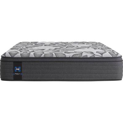 Sealy 1000 Series Double Size Eurotop Firm Mattress - HallII Eurotop Firm Mattress (Double)