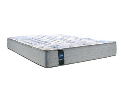 Sealy 1000 Series Tight Top Queen Mattress - Sidney Tight Top (Queen)