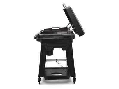 Traeger Flatrock 2 Zone Griddle - TF2NN46DNC