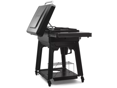 Traeger Flatrock 2 Zone Griddle - TF2NN46DNC