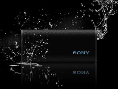 Sony ULT Power Sound Series ULT FIELD 3 Wireless Portable Speaker in Forest Gray - SRSULT30/H